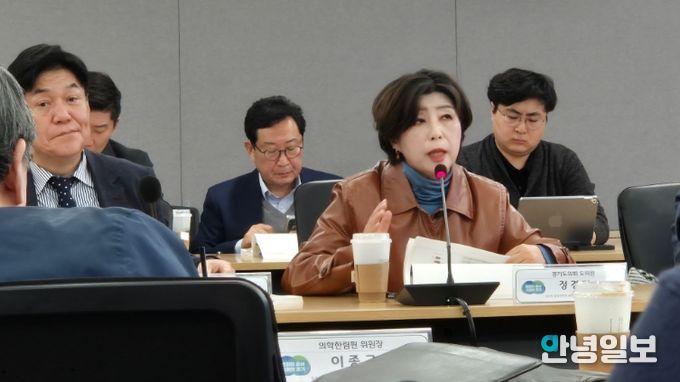 경기도의회 정경자 의원