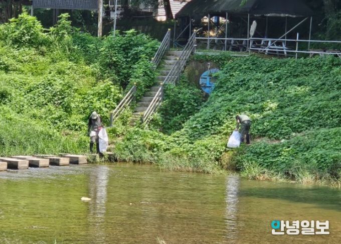 양주시, 관내 장흥면 일영유원지 ‘물놀이 적합 기준’ 회복