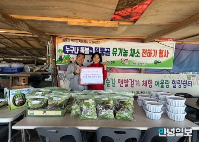 청정하남시니어협회, 미사2동 취약계층 노인 유기농 상추 수확 전달