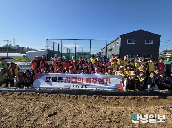 오산시 초평동 단체연합, 사랑의 김장배추 모종심기 행사 개최