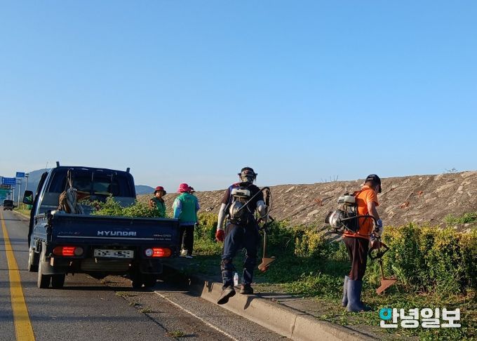 현덕면 새마을지도자협의회와 부녀회, 평택호 방조제 일대 제초 작업 및 환경정화 활동 진행