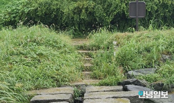 평택시, 추석맞이 하천변 제초 작업 실시