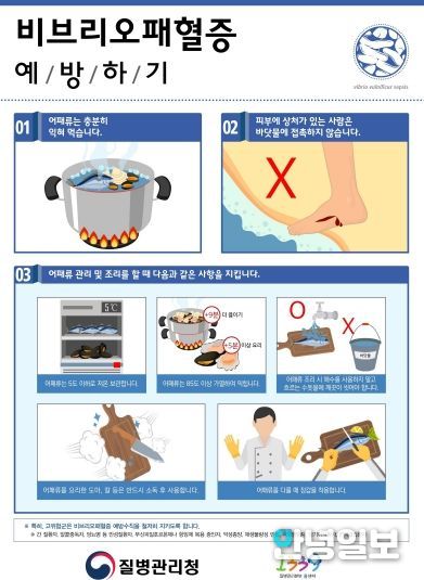 오산시, 비브리오패혈증 주의… 어패류 섭취·해양활동 시 예방수칙 준수 당부