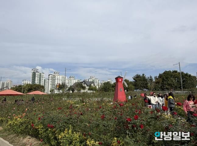 2025년 양주나리농원 가을 개장 성황리 종료