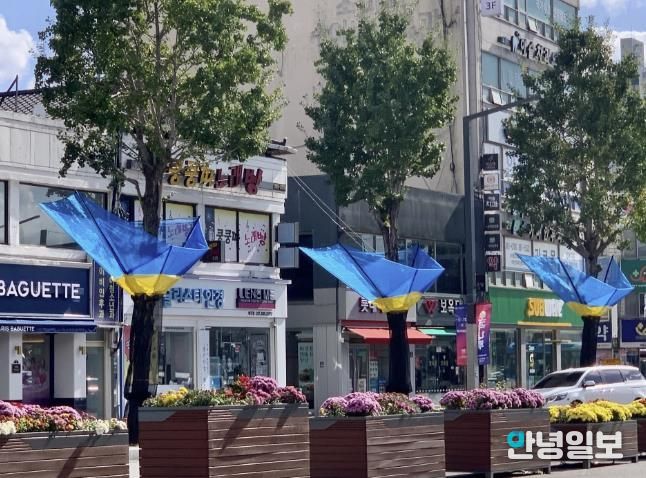 여주시, 은행나무 열매 악취 STOP!