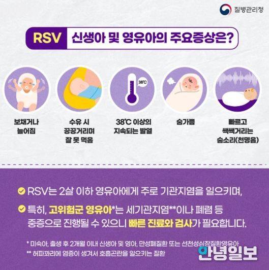 호흡기세포융합바이러스(RSV) 주요 증상 안내문