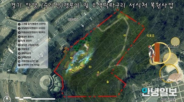 안양시, 병목안시민공원 맹꽁이・오색딱따구리 서식처 복원…국비 4.4억 확보