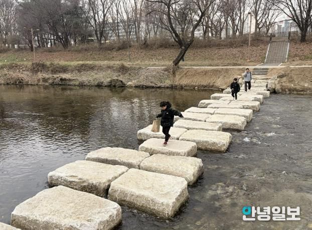 성남시 분당구 구미동 성남물빛공원~무지개마을 잇는 탄천 징검다리
