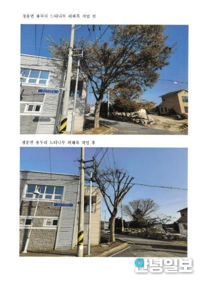 군민 생활주변 위험수목 처리 지원사업