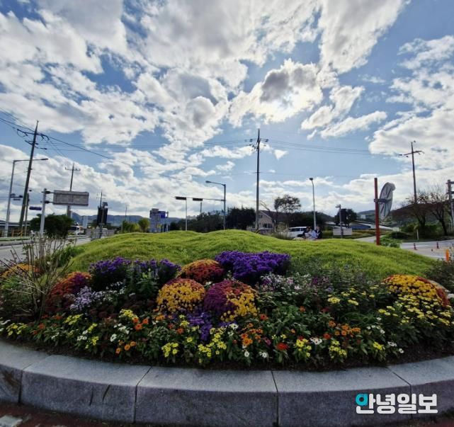 양평군, ‘회전교차로 화단 책임관리제’로 더 안전하고 아름다운 도로환경 조성