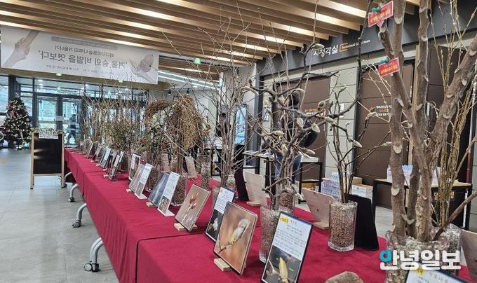 평택시 배다리도서관, 생태 전시회 '겨울 숲의 비밀을 엿보다' 운영