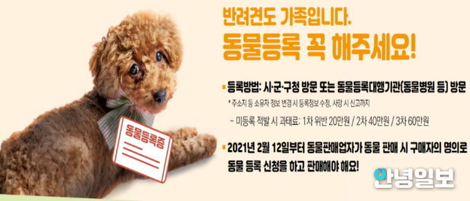 동물등록제 비용 지원사업 홍보물
