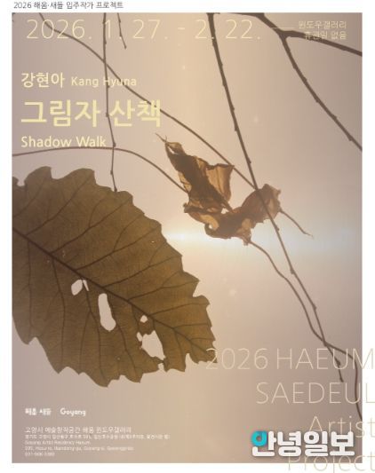 강현아 개인전 ‘그림자 산책’ 홍보문