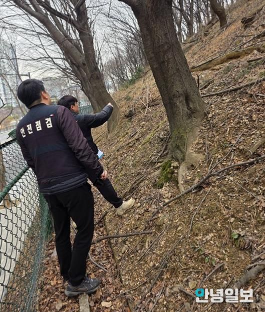 11일 관계부서에서 여름철 집중호우 대비 급경사지(단원구 선부동 산115-2)에 대한 점검을 진행하고 있다.