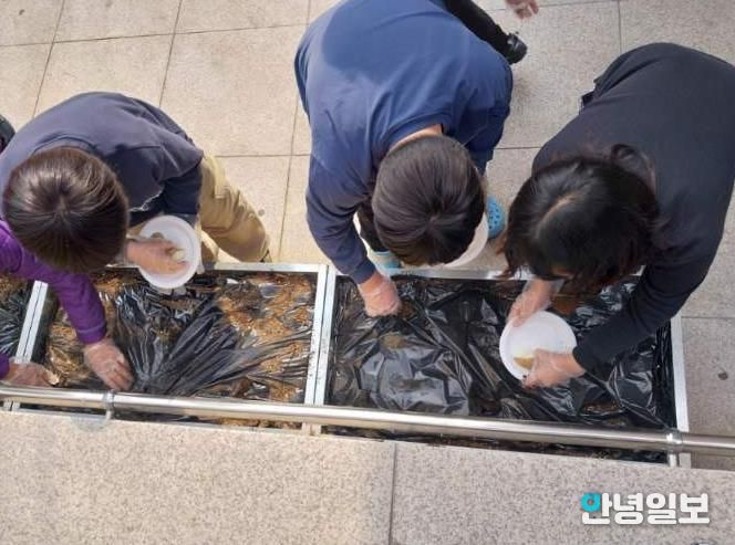 수원시 장안구 조원1동 새마을문고, 어린이 감자 재배 체험 프로그램 운영