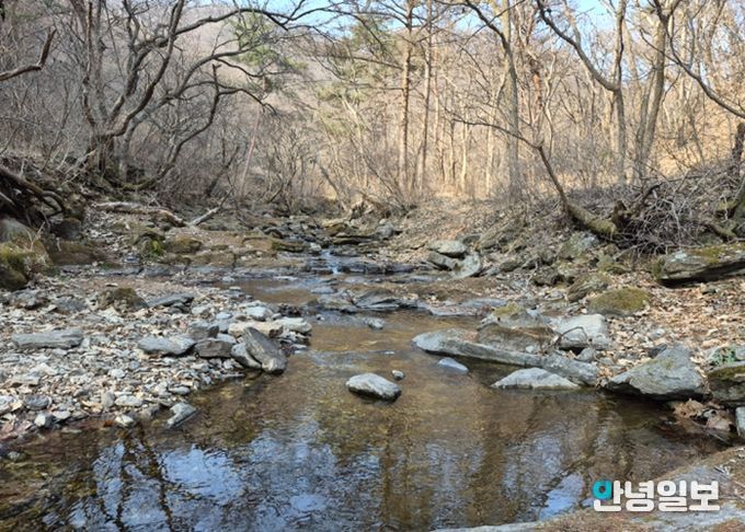 남양주시, 천마산 시립공원 내 불법행위 근절 특별정비 추진