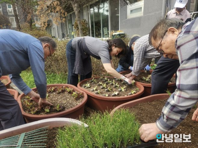 수원시 영통구 광교2동, 폐비닐 화분에 새 생명 불어넣다… 경로당 찾아가는 원예테라피 운영
