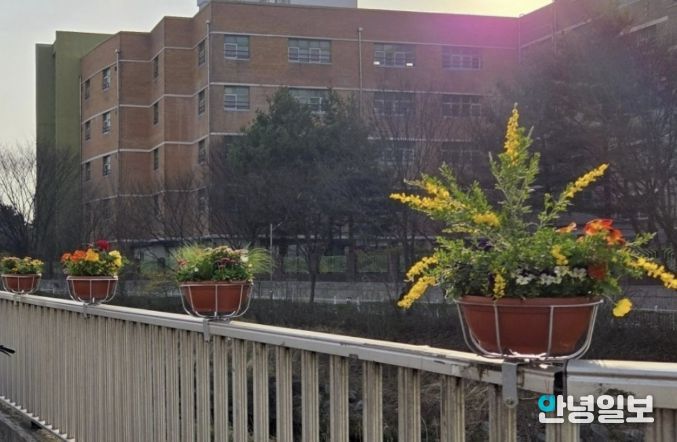 수원시 장안구, 도심 속 봄 정취 더하는 “장안구 봄빛꽃길 조성 프로젝트” 시작