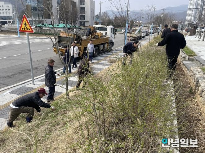 가평 청평면, 식목일 기념 나무 심고 환경정비